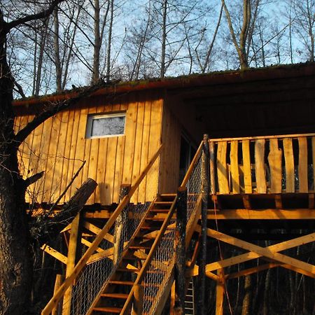 Cabane Des Cerfs Allons  Dış mekan fotoğraf