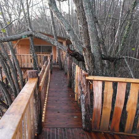 Cabane Des Cerfs Allons  Dış mekan fotoğraf