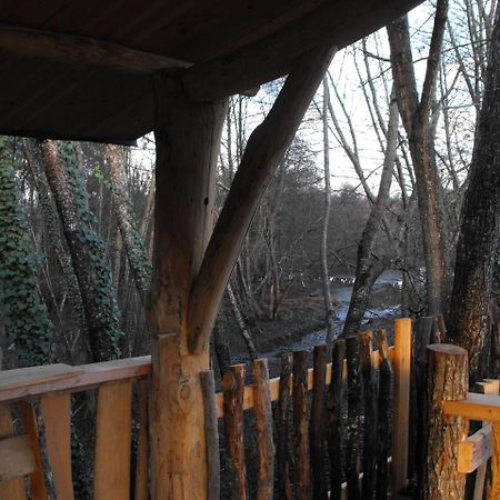 Cabane Des Cerfs Allons  Dış mekan fotoğraf