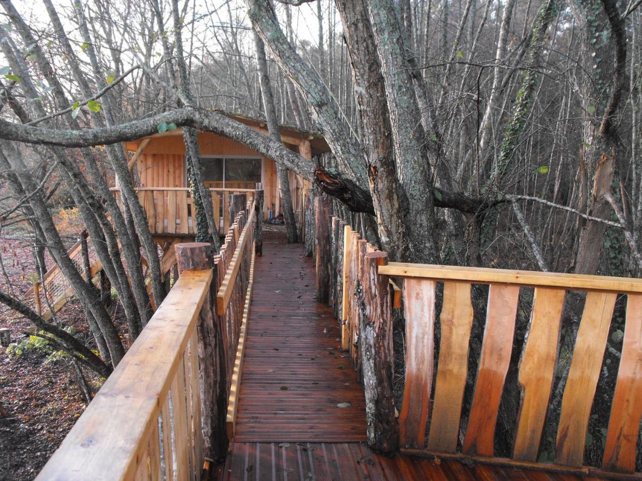 Cabane Des Cerfs Allons  Dış mekan fotoğraf