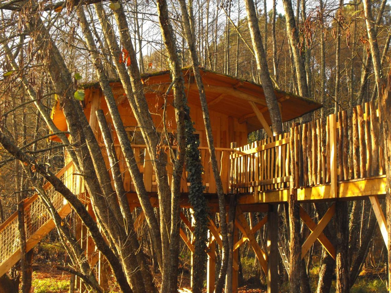 Cabane Des Cerfs Allons  Dış mekan fotoğraf