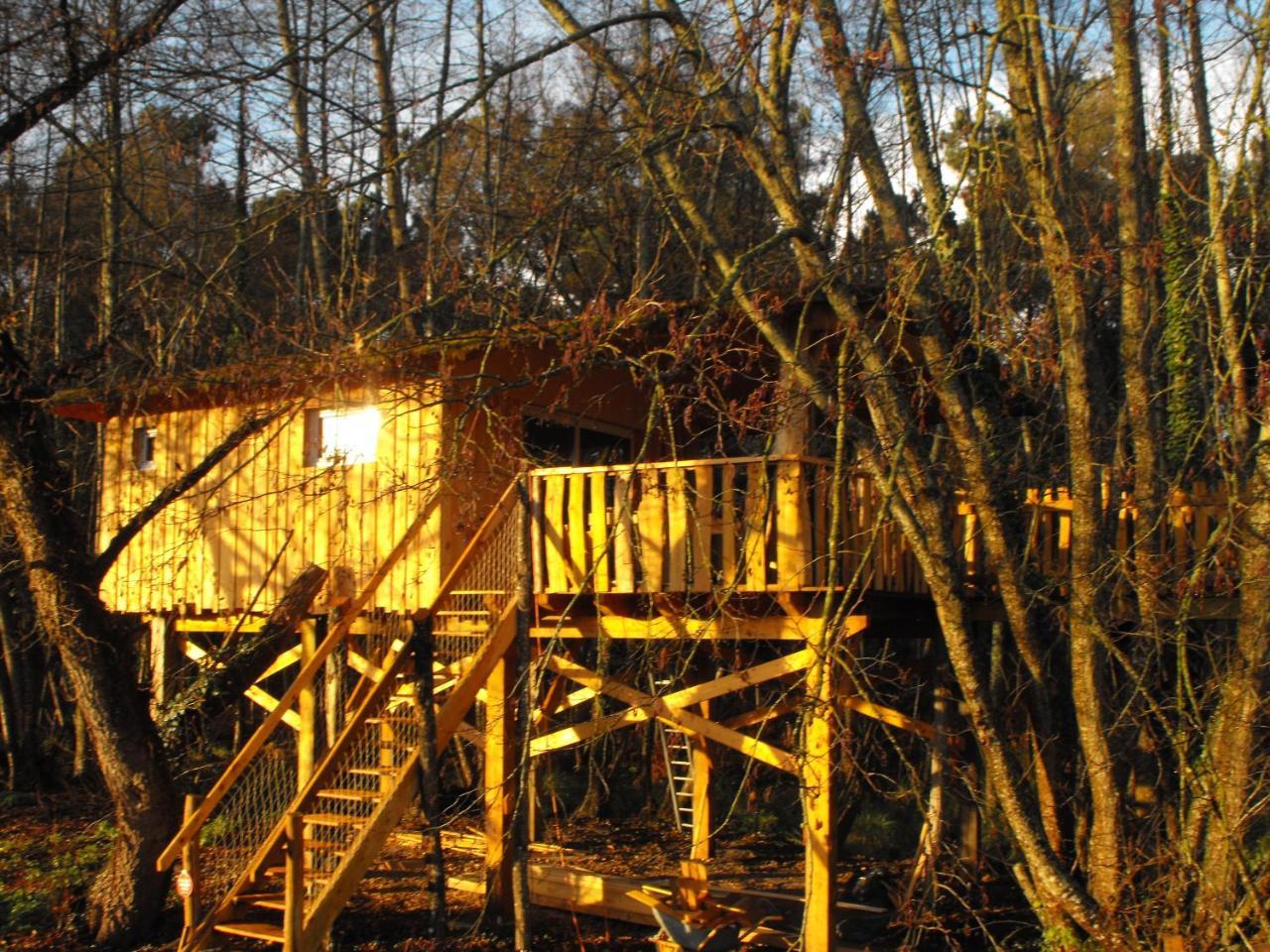 Cabane Des Cerfs Allons  Dış mekan fotoğraf