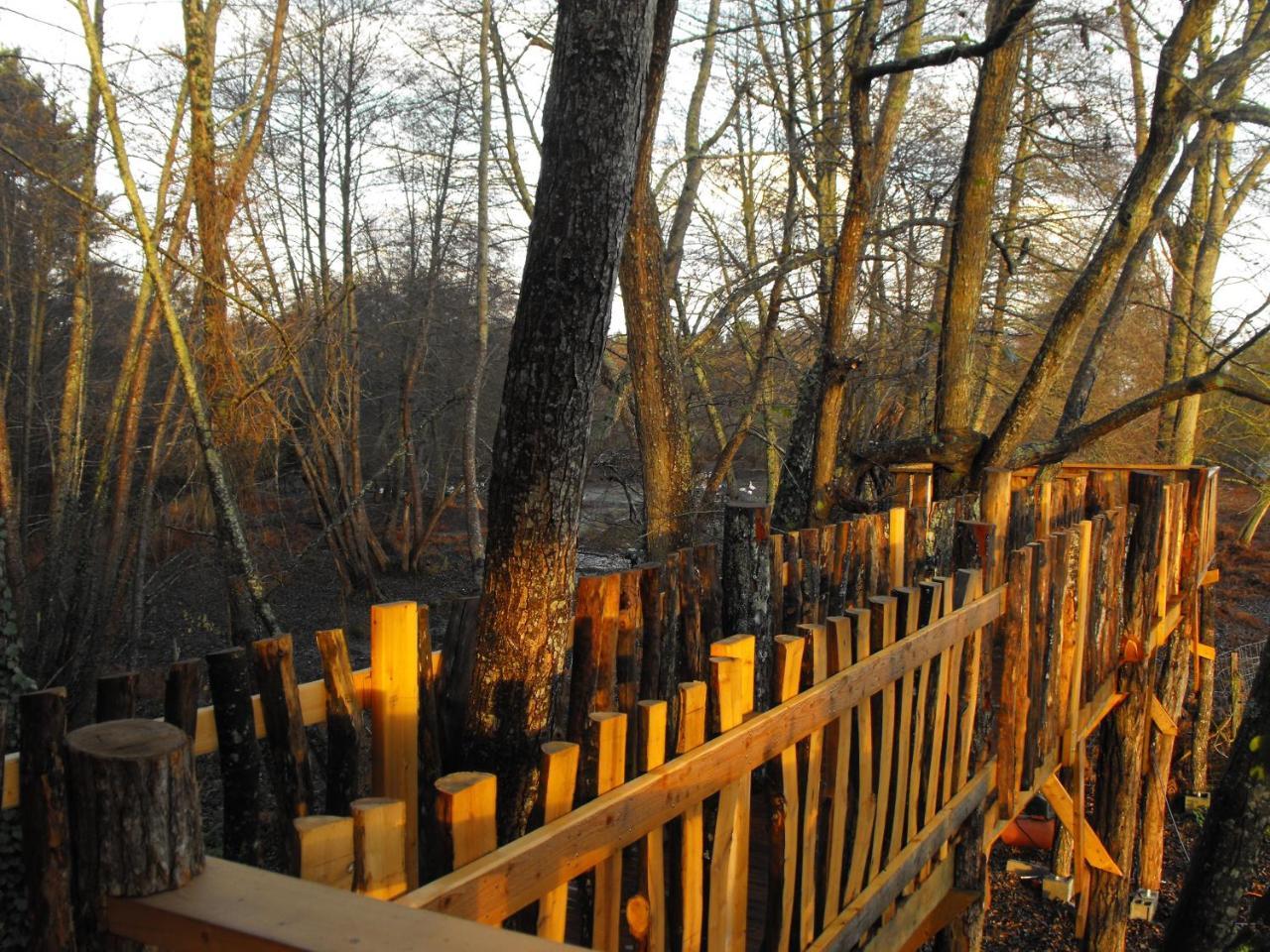 Cabane Des Cerfs Allons  Dış mekan fotoğraf